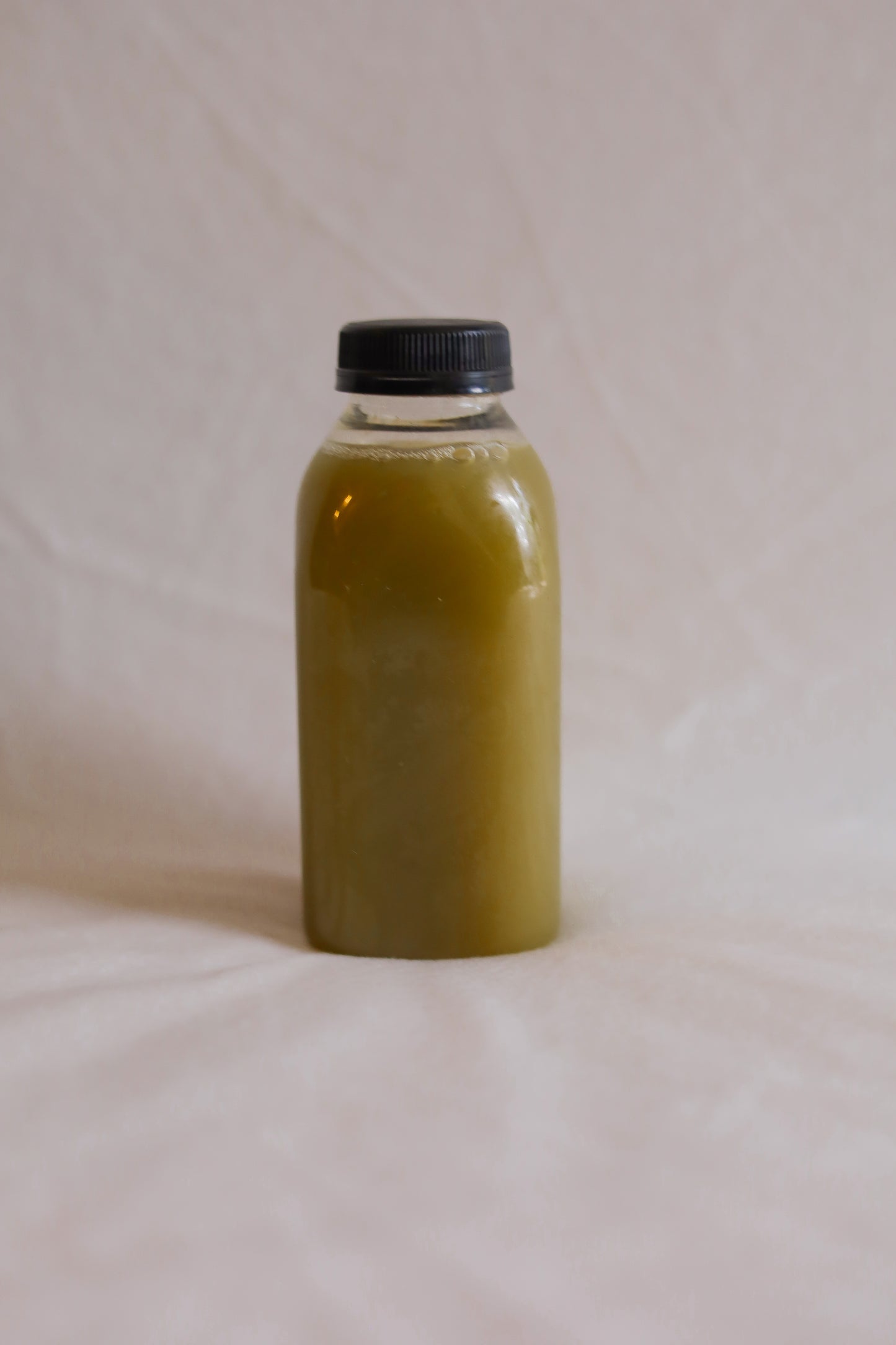 CELERY